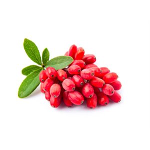 Organic Goji berries 50g pack