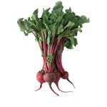 Betteraves feuilles rouges Biologiques