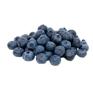Organic Blueberries Box 170g