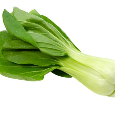 Bok choy biologique