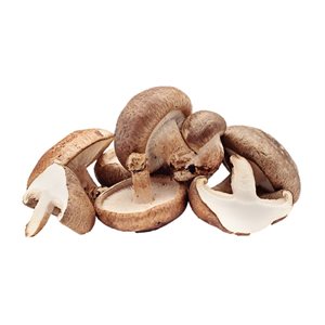 Organic Shiitake Mushroom Pack 113g