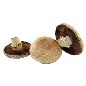 Champignon Portobellini Biologiques 340g