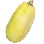 Organic Spaghetti Squash Approx: 2300g