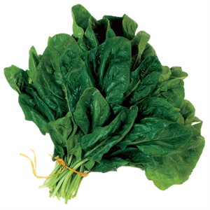 Organic Spinach 1 Bunch