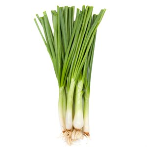 Organic Green Onions 1 bunch