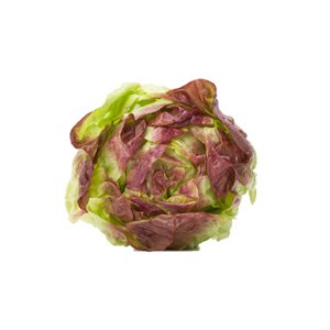 Organic Red Boston Lettuce 1 bunch