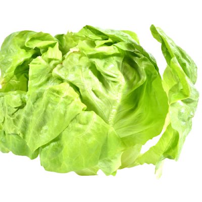 Organic Boston Lettuce 1 bunch