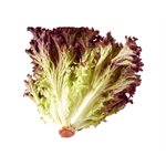 Organic Red Lettuce 1 bunch