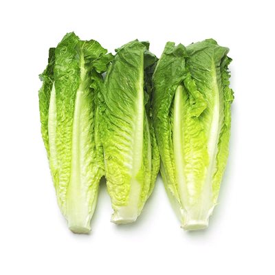 Organic Romaine Heart pack of 3