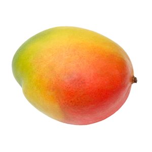 Organic Mango 1 Fruit