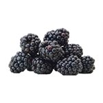 Mûres Biologiques 170g