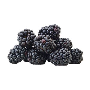 Organic Blackberries Box 170g