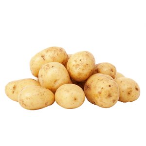 Patates blanche Biologiques sac5lb