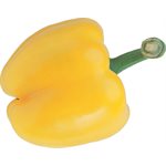 Organic Yellow Bell Pepper 1 unit Approx: 200g