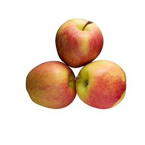 Organic Ambrosia apples 3lb bag
