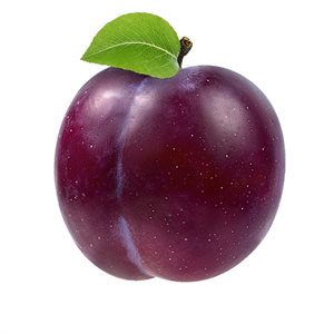 Organic Black Prunes 1 fruit approx:80g