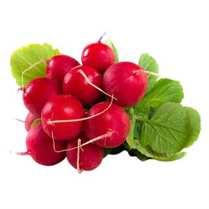 Organic Leafed Radish 1 bunch