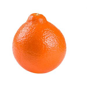 Organic Mineola Tangerine 1unit
