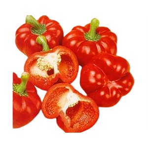 Organic Sun Tan Bell Peppers 1 unit Approx:110g