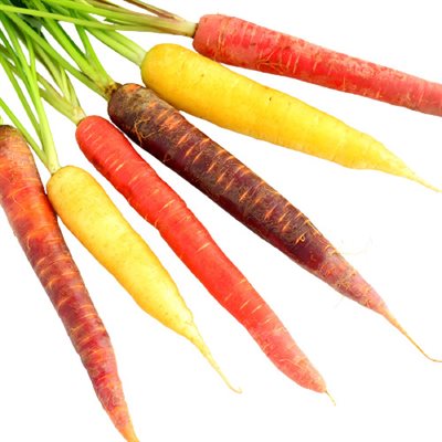 Organic Rainbow Carrots 2lb bag