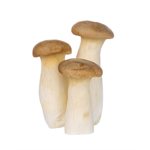 Mini Champignon King Huître Biologiques 170g