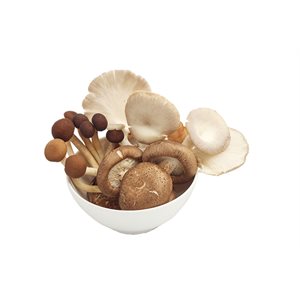 Organic Mixed Mushrooms 1 unit