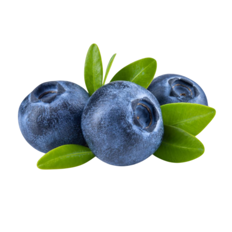 Myrtilles biologiques - Grand format 474 g