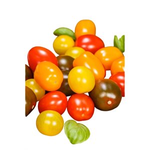 Organic Multicolor Grape Tomatoes 1 pack 284g