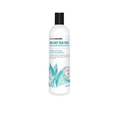 Big Sky - Shampoo 500 ml