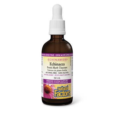 Natural Factors Echinacea Teinture de plante fraîche sans alcool 50 mL teinture petits fruits