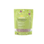 Mumms Radis Arc-En-Ciel Bio 100 g
