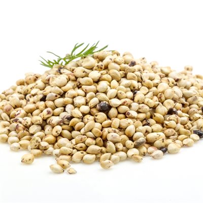 Bulk Organic Raw Soya Beans Approx:100g