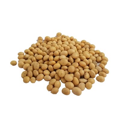 Bulk Organic Mung Beans Approx:100g