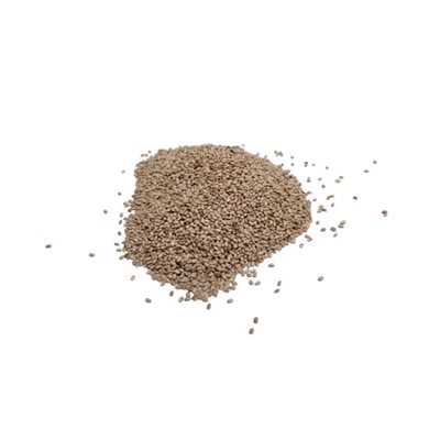 Graines De Chia Blanches Bio Vrac Env:100g