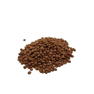 Lentilles Brunes Bio Vrac Env:100g