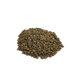 Lentilles Francaise Dupuy Bio Vrac Env:100g