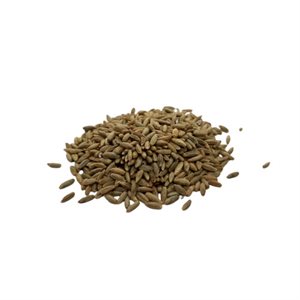 Grains De Seigle Bio Vrac Env:100g