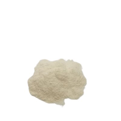 Oignon Blanc En Poudre Bio Vrac Env:100g