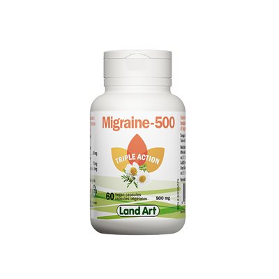 Land Art Migraine 500