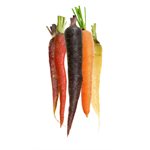 Organic Multicolor Nantaise Carrots  Pack 454g