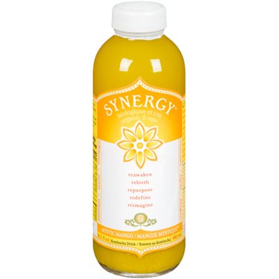 GT's Synergy Boisson au Kombucha Mangue Mystique 480 ml