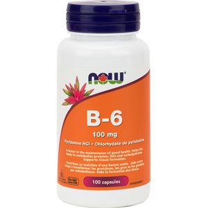 Now B-6 100Mg 100Caps