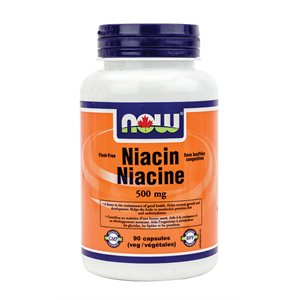 Now Niacin Flush Free 500mg 90vcap 