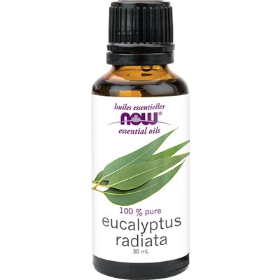 Eucalyptus Radiata Oil (Eucalyptus radiata)30mL