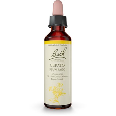 Bach Cerato 20ml Bach Cerato 20ml