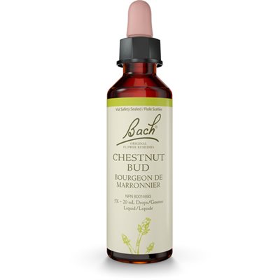 Bach Chestnut Bud 20 ml