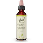 Bach Chestnut Bud 20 ml