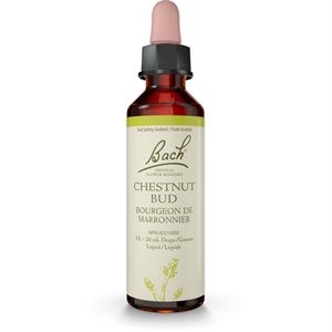 Bach Chestnut Bud 20 ml