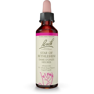 Bach étoile de Bethléem 20ml 