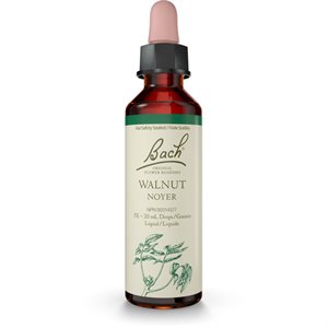 Bach Noyer 20ml 